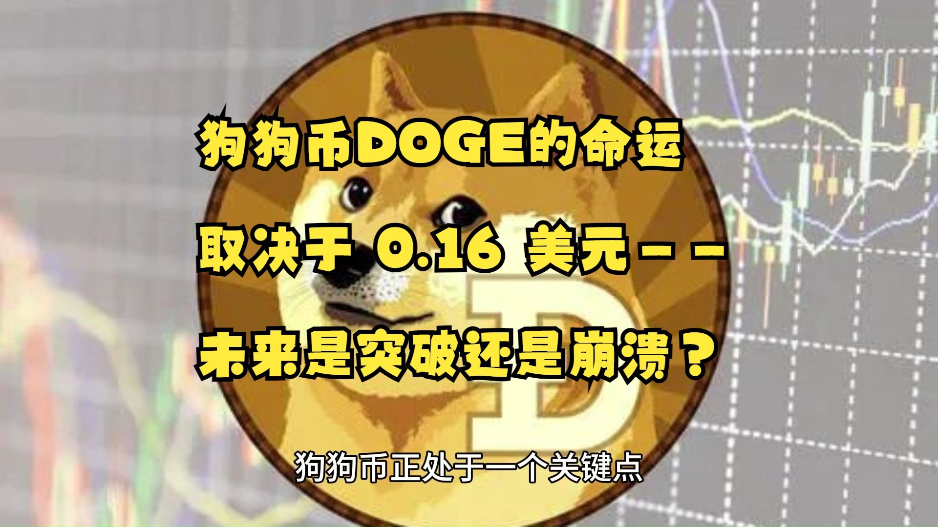 狗狗币冲破269美元大关，牛市是否已来临？