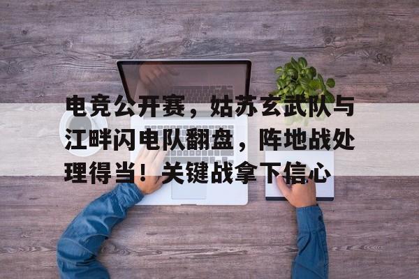 九游官网入口活动-电竞公开赛，姑苏玄武队与江畔闪电队翻盘，阵地战处理得当！关键战拿下信心